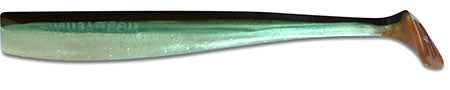 Pacific Mackerel