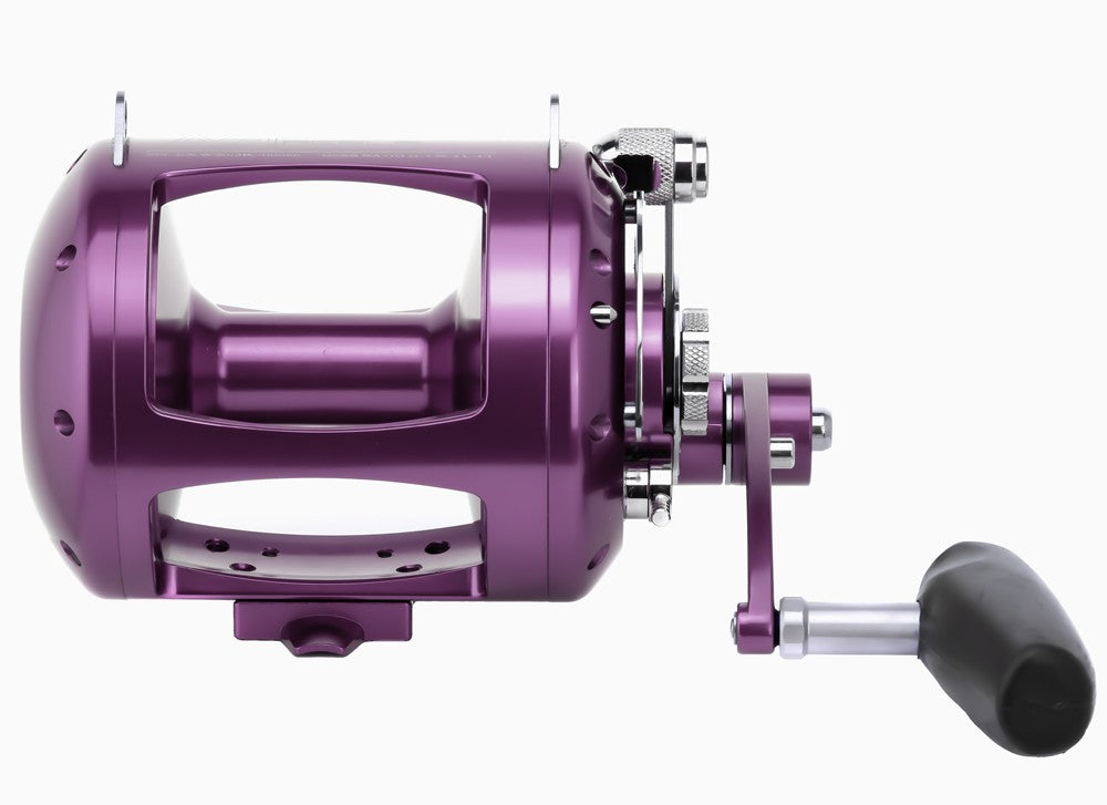 Avet EXW 80/3 Reel