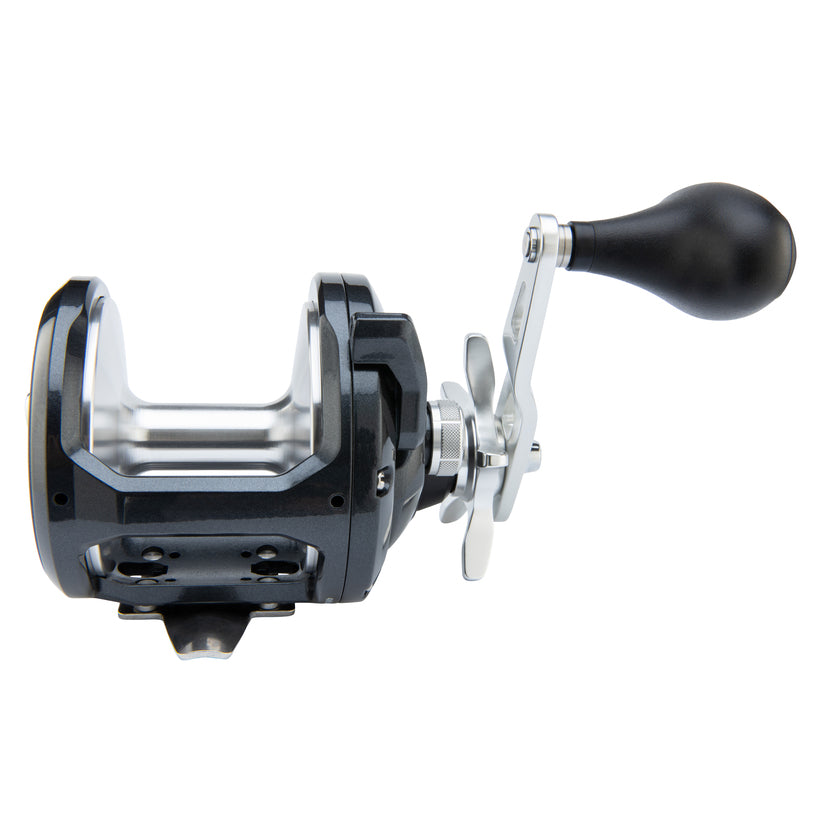 Shimano Torium Reel